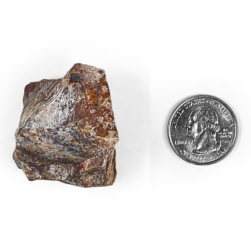 Panther Jasper Rough Rocks For Tumbling Size Comparison